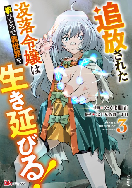 追放された没落令嬢は拳ひとつで異世界を生き延びる！（3）